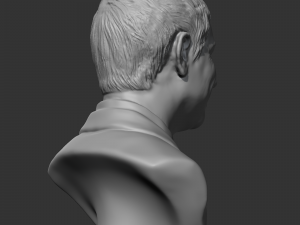 larry page 3d print model 3D Print Model