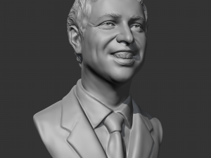 larry page 3d print model 3D Print Model