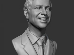 larry page 3d print model 3D Print Model