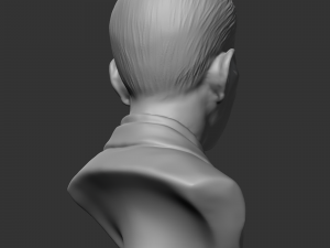 erwin rommel 3d print model 3D 打印模型