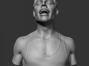Modello di stampa 3D di Freddie Mercury Modello di stampa 3D