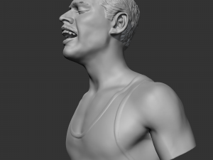 freddie mercury 3d print model Modèles 3D en vedette