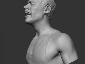 freddie mercury 3d print model 3D Print Model