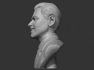 Leonardo Dicaprio 3D print model 3D Print Model