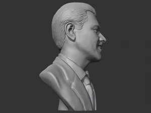 Leonardo Dicaprio 3D print model 3D Print Model