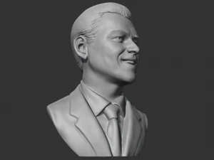 Leonardo Dicaprio 3D print model 3D Print Model