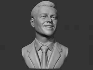 Leonardo Dicaprio 3D print model 3D Print Model