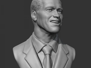 Arnold Schwarzenegger 3D print model 3D Print Model