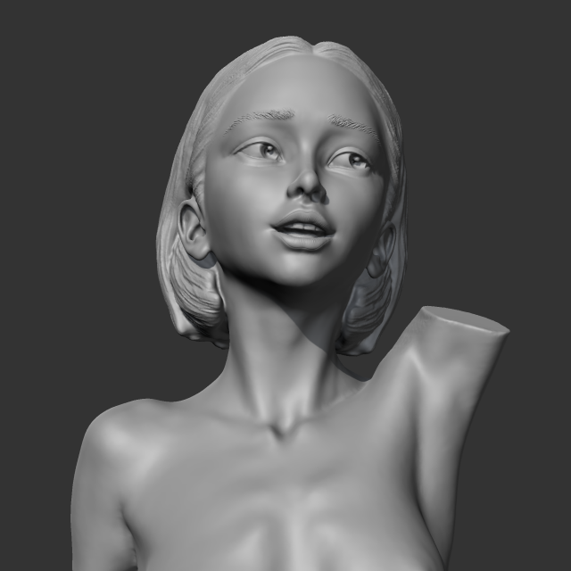 HD girl bust T 3D print model Modelo de Impressão 3D .c4d .max .obj .3ds .fbx .stl .blend 