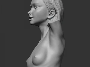 HD girl bust T 3D print model 3D Print Model