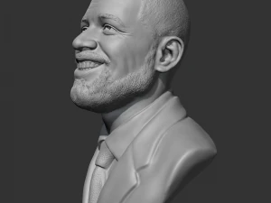 Drake 3D print model 3D Print Model