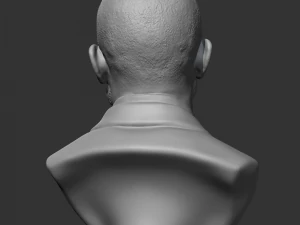 Drake 3D print model 3D Print Model
