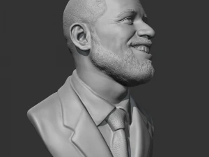 Drake 3D print model 3D Print Model