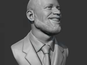 Drake 3D print model 3D Print Model