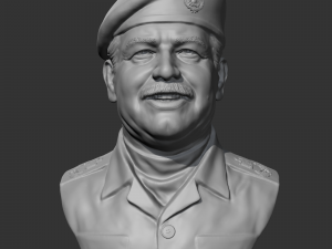 Saddam Hussein 3D print model 3D प्रिंट मॉडल