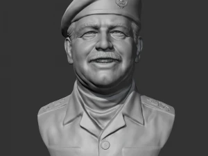 Saddam Hussein 3D print model 3D Print Model