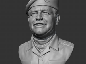 Saddam Hussein 3D print model 3D-printmodel