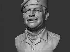 Saddam Hussein 3D print model 3D Print Model
