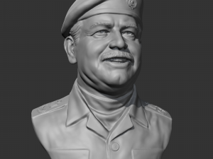 Saddam Hussein 3D print model 3D-printmodel