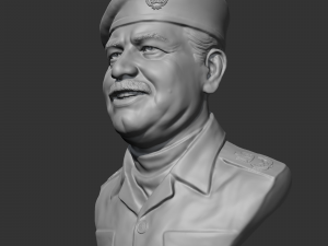 Saddam Hussein 3D print model 3D-printmodel