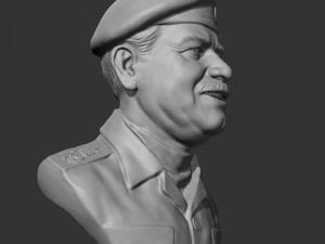 Saddam Hussein 3D print model 3D Print Model