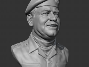 Saddam Hussein 3D print model 3D-printmodel