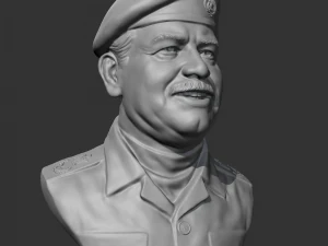 Saddam Hussein 3D print model 3D Print Model
