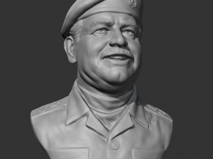 Saddam Hussein 3D print model 3D-printmodel