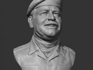 Saddam Hussein 3D print model 3D Print Model