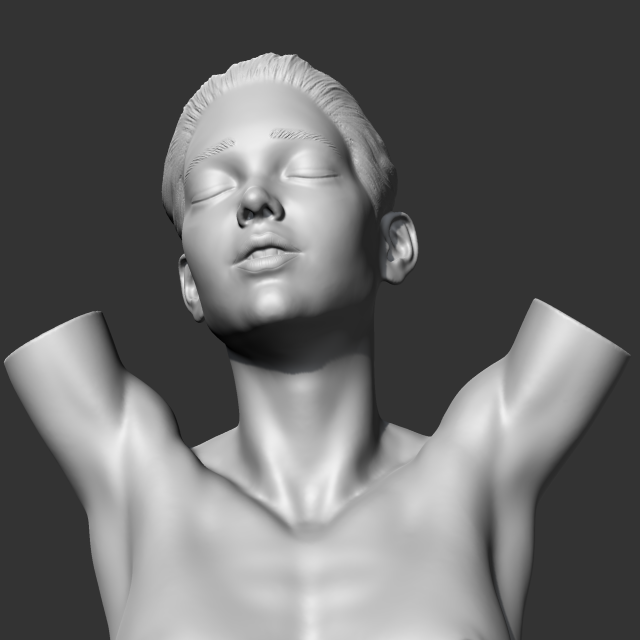 CH girl bust N 3D print model Modello di stampa 3D .c4d .max .obj .3ds .fbx .stl .blend 