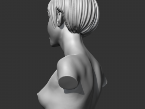 CH girl bust S 3D print model Modèles 3D en vedette