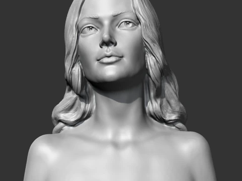 CHガールバストT 3Dプリントモデル 3Dプリントモデル