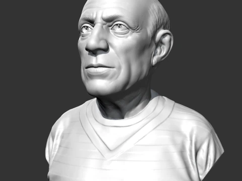 Pablo Picasso 3D print model 3D Print Model