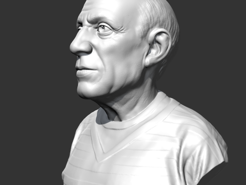 Pablo Picasso 3D print model 3D 打印模型
