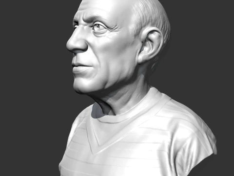 Pablo Picasso 3D print model 3D Print Model