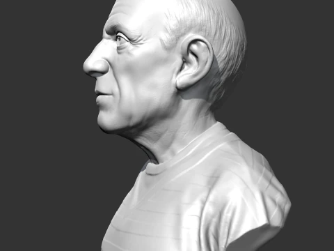 Pablo Picasso 3D print model 3D Print Model