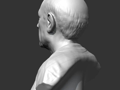Pablo Picasso 3D print model 3D Print Model