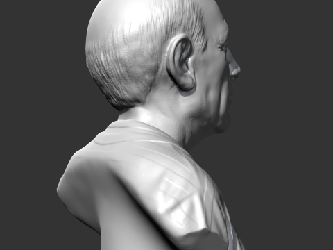 Pablo Picasso 3D print model 3D 打印模型