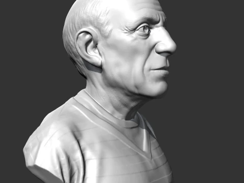 Pablo Picasso 3D print model 3D Print Model