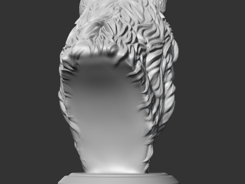 Wolf Head AM02 3D print model 3D Baskı Modeli