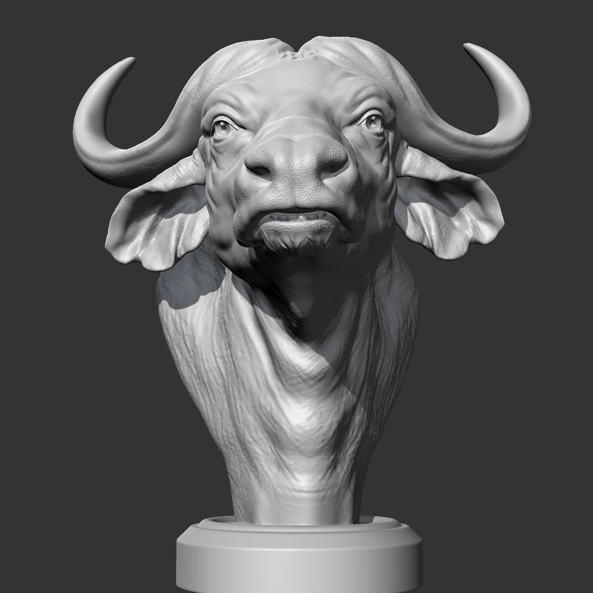 Buffalo Head AM03 3D print model 3D Print Model .c4d .max .obj .3ds .fbx .stl .blend 