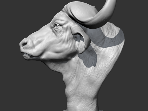 Buffalo Head AM03 3D print model Modèles 3D en vedette