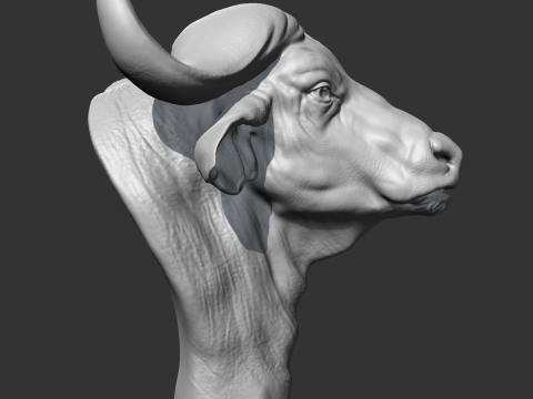 Buffalo Head AM03 3D print model Modèles 3D en vedette