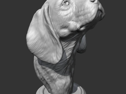 Beagle Head AM04 3D print model 3D Print Model