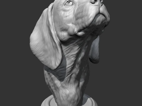 Beagle Head AM04 3D print model 3D Print Model