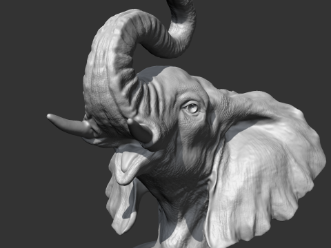 Elephant Head AM05 3D print model Modèles 3D en vedette