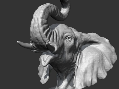 Elephant Head AM05 3D print model 3D Print Model
