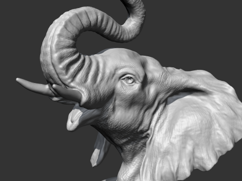 Elephant Head AM05 3D print model Modèles 3D en vedette
