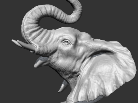Elephant Head AM05 3D print model Modèles 3D en vedette