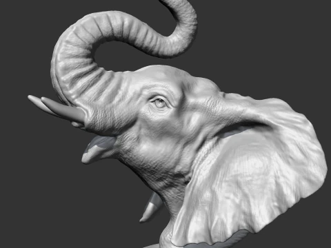 Elephant Head AM05 3D print model 3D Print Model